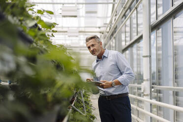 Male professional with digital tablet analyzing plants in greenhouse - JOSEF01798
