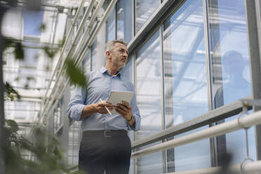 Male professional holding digital tablet looking through window while standing in greenhouse - JOSEF01799