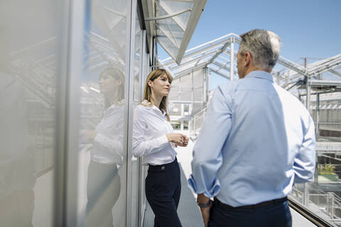 Business professionals discussing while standing by wall at greenhouse stock photo