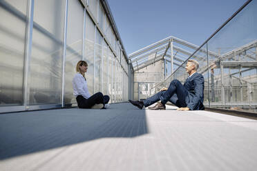 Business professionals discussing while sitting on footbridge at greenhouse - JOSEF01837