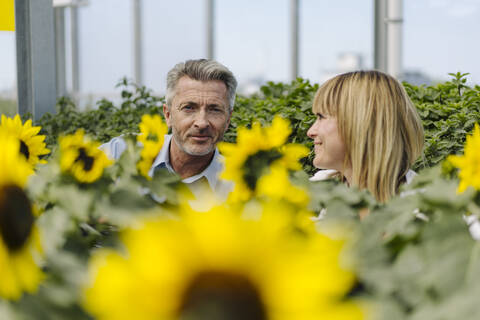 Businesswoman looking at male coworker amidst plants in greenhouse stock photo