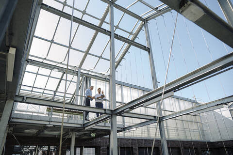 Male professionals planning while standing in greenhouse stock photo