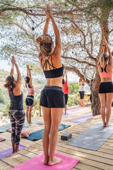 Rückenansicht von nicht erkennbaren Frauen in Sportkleidung, die auf Matten stehen und den Gruß nach oben machen, während sie Yoga auf einer hölzernen Plattform üben, die von Bäumen und Pflanzen in der Natur bei Tageslicht umgeben ist - ADSF15551