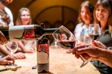 Professioneller Winzer gießt Rotwein in Gläser für eine Gruppe junger Besucher während einer Weinprobe in einer modernen Weinkellerei - ADSF15561