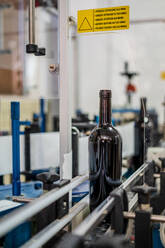 Weinflasche ohne Etikett auf einem Fließband in einer modern ausgestatteten Produktionsstätte - ADSF15568