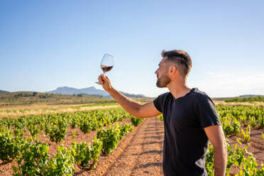 Blick von der Seite auf einen jungen Winzer in einem lässigen schwarzen Hemd, der mit einem Glas Rotwein in der Hand die Qualität prüft, während er auf einer sonnigen Plantage arbeitet - ADSF15571