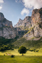 Majestätische Landschaft der Bergkette Picos de Europa und grünes Tal mit Bäumen an einem sonnigen Tag in Asturien - ADSF15587