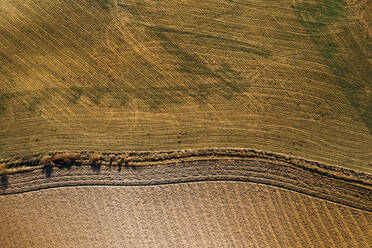 Luftaufnahme eines landwirtschaftlichen Feldes in einer ländlichen Gegend an einem Sommertag von oben - ADSF15593