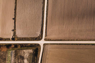 From above aerial view of crossroads going through agricultural field in rural area in summer day - ADSF15595