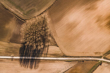From above aerial view of straight road going through agricultural field in rural area in summer day - ADSF15598