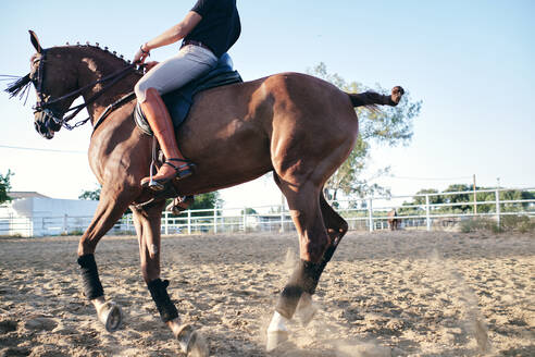 Seitenansicht eines abgeschnittenen, nicht erkennbaren männlichen Reiters in Stiefeln und Uniform, der auf einem Sandplatz auf einer Ranch während des Trainings reitet - ADSF15648