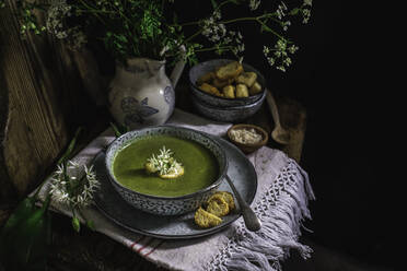 Green nettle and wild garlic soup with croutons - CAIF29474