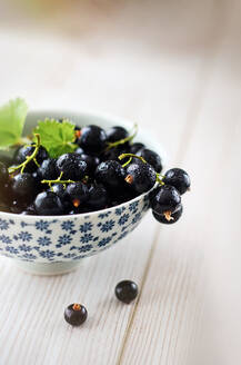 Saftige frische schwarze Johannisbeeren in der Schale - CAIF29480