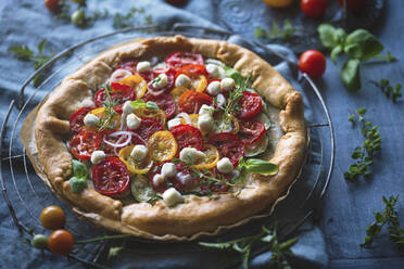 Tomato mozzarella zucchini galette - CAIF29492