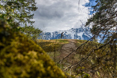 Frau beim Mountainbiking in einem Wald in den kanadischen Bergen - CUF56559