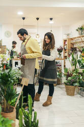 Frau hilft Mann, Schürze zu tragen, während er im Blumenladen steht - MRRF00395