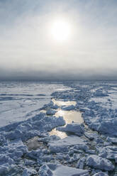 Sun shining over broken ice floating in Arctic Ocean - RUNF04203