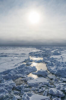 Die Sonne scheint über gebrochenem Eis im Arktischen Ozean - RUNF04203
