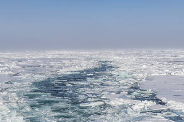 Gebrochenes Eis schwimmt im Arktischen Ozean - RUNF04204