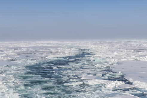 Broken ice floating in Arctic Ocean - RUNF04204