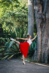 Junge Frau tanzt Ballett auf dem Fußweg neben einem Baumstamm im Park - DCRF00831