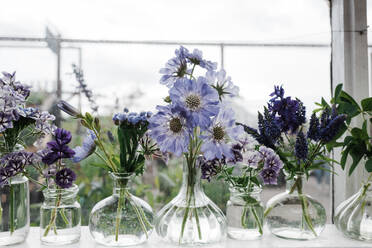 Frisch gepflückte Blumen in Vasen auf einer Fensterbank im Sommer - CAVF88822