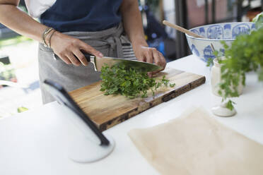 Woman cutting fresh cilantro with knife on cutting board - CAIF29574