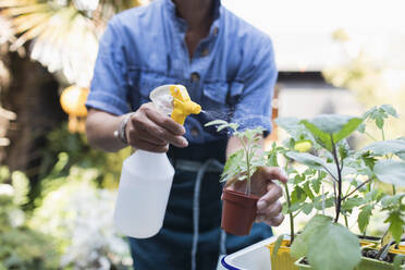 Frau bewässert Topfpflanzen mit Sprühflasche auf der Veranda - CAIF29596