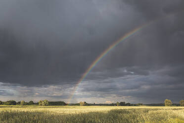 Landschaftliche Ansicht des Regenbogens über Landschaft gegen bewölkten Himmel - ASCF01500