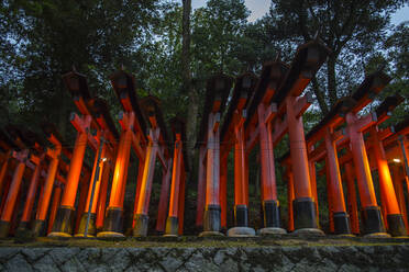 Columns at the iconic Fushimi Inari Shrine - CAVF88943