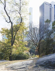USA, New York, New York City, Hohe Wohngebäude vom Central Park aus gesehen - AHF00039