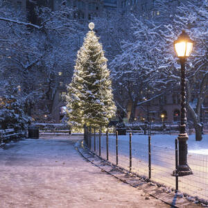 USA, New York, New York City, Beleuchteter Weihnachtsbaum im Madison Square Park bei Nacht - AHF00063