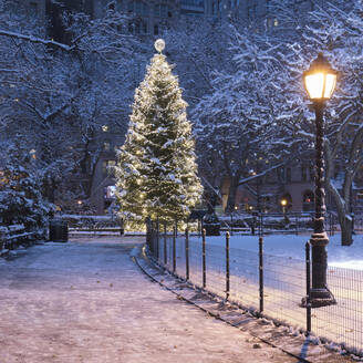 USA, New York, New York City, Illuminated Christmas tree in Madison Square Park at night - AHF00063