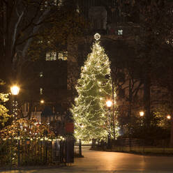 USA, New York, New York City, Christmas tree illuminated at night in Madison Square Park - AHF00085