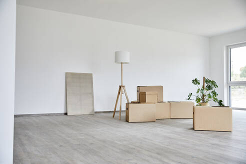 Empty room with many cardboard and potted plant - MJFKF00640