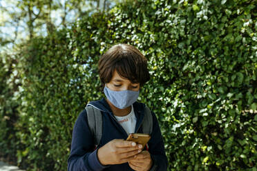 Schüler mit Maske, der ein Mobiltelefon benutzt, während er bei Pflanzen steht - VABF03468