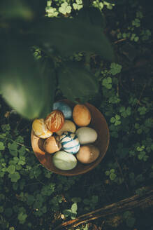Schale mit organisch gefärbten Ostereiern, die im Freien liegen - MBEF01466