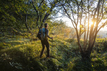 Male hiker with backpack and hiking pole walking in forest, Orobie, Lecco, Italy - MCVF00579