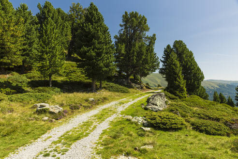 Gravel road in European Alps during summer - AIF00696