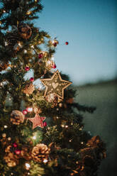 Nahaufnahme eines beleuchteten Weihnachtsbaums gegen den klaren Himmel in der Abenddämmerung - GMLF00610