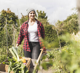 Junge Frau trägt Schubkarre mit Gemüse beim Spaziergang im Gemeinschaftsgarten - UUF21435