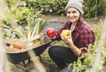 Smiling woman holding bell peppers in vegetable garden - UUF21444