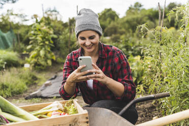 Junge Frau, die ein Mobiltelefon benutzt, während sie an einer Schubkarre im Gemüsegarten hockt - UUF21446
