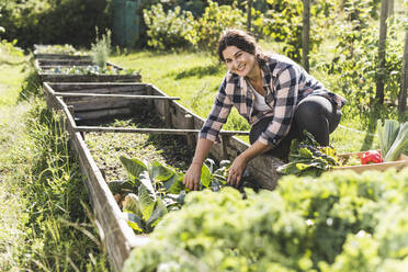 Smiling young woman picking vegetables from raised bed in community garden - UUF21462