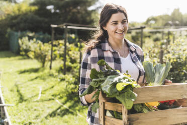 Smiling woman carrying wooden crate with vegetables in community garden - UUF21469