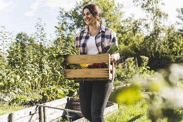 Lächelnde junge Frau trägt Gemüse in einer Holzkiste im Gemeinschaftsgarten - UUF21470