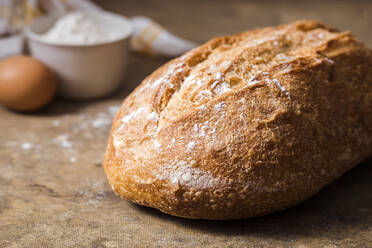 Loaf of fresh bread - FLMF00289