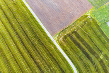 Drone view of dirt road stretching between green countryside fields - SIEF10039