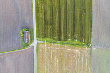 Drohnenansicht einer unbefestigten Straße, die sich zwischen Feldern auf dem Land erstreckt - SIEF10040