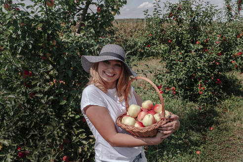 Smiling woman wearing hat holding apples in basket while standing at orchard - OGF00587